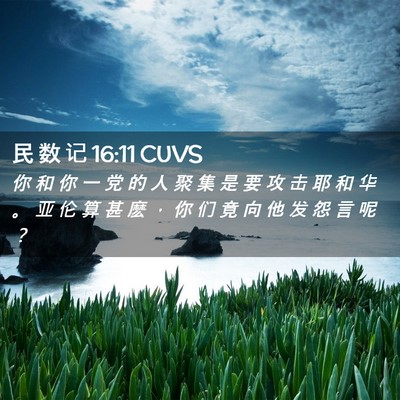 Picture 02 - 民 数 记 16:11 CUVS - 你 和 你 一 党 的 人 聚 集 是 要 攻 - Bible Verse Picture