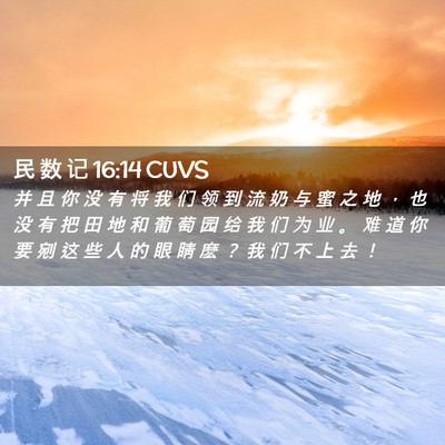 Picture 02 - 民 数 记 16:14 CUVS - 并 且 你 没 有 将 我 们 领 到 流 奶 - Bible Verse Picture
