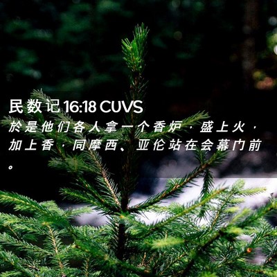 Picture 02 - 民 数 记 16:18 CUVS - 於 是 他 们 各 人 拿 一 个 香 炉 ， - Bible Verse Picture