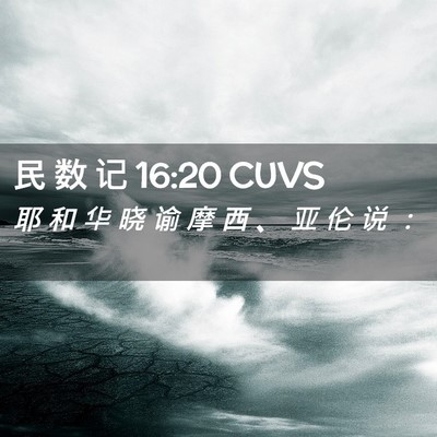 Picture 02 - 民 数 记 16:20 CUVS - 耶 和 华 晓 谕 摩 西 、 亚 伦 说 - Bible Verse Picture