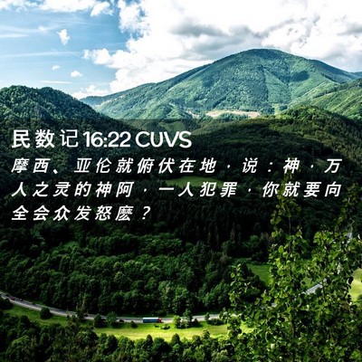 Picture 02 - 民 数 记 16:22 CUVS - 摩 西 、 亚 伦 就 俯 伏 在 地 ， 说 - Bible Verse Picture