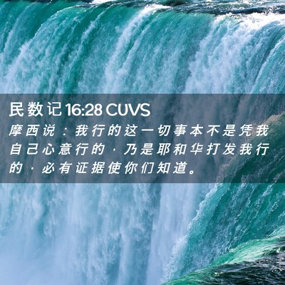 Picture 02 - 民 数 记 16:28 CUVS - 摩 西 说 ： 我 行 的 这 一 切 事 本 - Bible Verse Picture