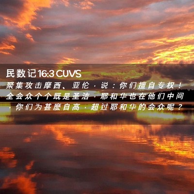 Picture 02 - 民 数 记 16:3 CUVS - 聚 集 攻 击 摩 西 、 亚 伦 ， 说 ： - Bible Verse Picture