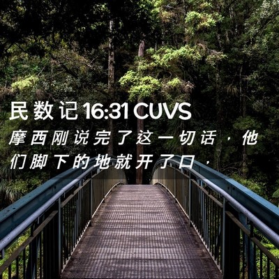 Picture 02 - 民 数 记 16:31 CUVS - 摩 西 刚 说 完 了 这 一 切 话 ， 他 - Bible Verse Picture