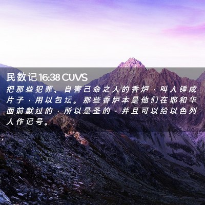 Picture 02 - 民 数 记 16:38 CUVS - 把 那 些 犯 罪 、 自 害 己 命 之 人 - Bible Verse Picture
