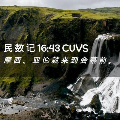 Picture 02 - 民 数 记 16:43 CUVS - 摩 西 、 亚 伦 就 来 到 会 幕 前 - Bible Verse Picture