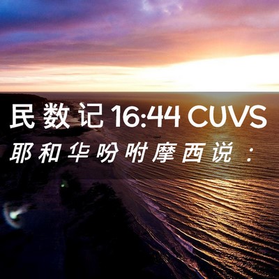 Picture 02 - 民 数 记 16:44 CUVS - 耶 和 华 吩 咐 摩 西 说 - Bible Verse Picture