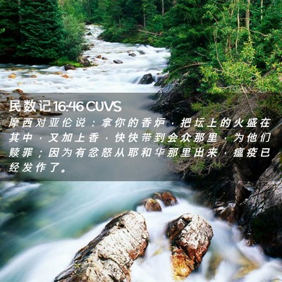 Picture 02 - 民 数 记 16:46 CUVS - 摩 西 对 亚 伦 说 ： 拿 你 的 香 炉 - Bible Verse Picture