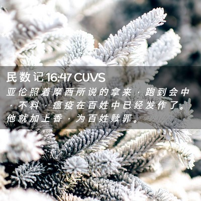 Picture 02 - 民 数 记 16:47 CUVS - 亚 伦 照 着 摩 西 所 说 的 拿 来 ， - Bible Verse Picture