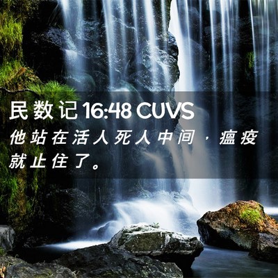 Picture 02 - 民 数 记 16:48 CUVS - 他 站 在 活 人 死 人 中 间 ， 瘟 疫 - Bible Verse Picture