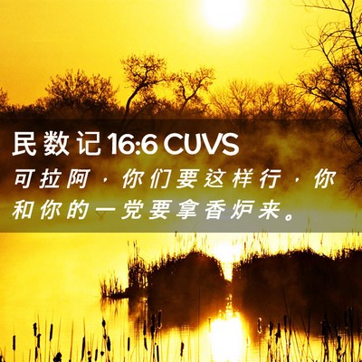 Picture 02 - 民 数 记 16:6 CUVS - 可 拉 阿 ， 你 们 要 这 样 行 ， 你 - Bible Verse Picture