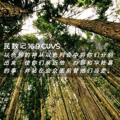 Picture 02 - 民 数 记 16:9 CUVS - 以 色 列 的 神 从 以 色 列 会 中 将 - Bible Verse Picture
