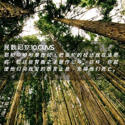 Picture 02 - 民 数 记 17:10 CUVS - 耶 和 华 吩 咐 摩 西 说 ： 把 亚 伦 - Bible Verse Picture