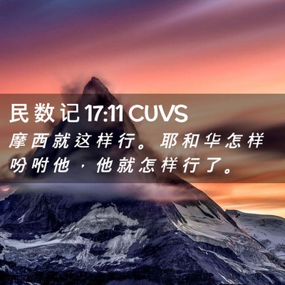 Picture 02 - 民 数 记 17:11 CUVS - 摩 西 就 这 样 行 。 耶 和 华 怎 样 - Bible Verse Picture