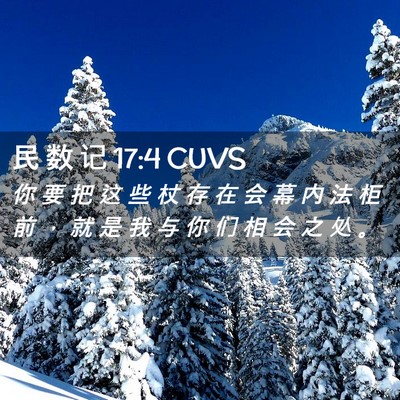 Picture 02 - 民 数 记 17:4 CUVS - 你 要 把 这 些 杖 存 在 会 幕 内 法 - Bible Verse Picture