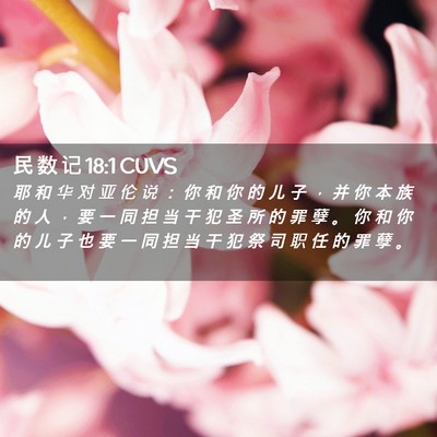 Picture 02 - 民 数 记 18:1 CUVS - 耶 和 华 对 亚 伦 说 ： 你 和 你 的 - Bible Verse Picture