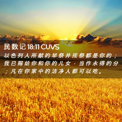 Picture 02 - 民 数 记 18:11 CUVS - 以 色 列 人 所 献 的 举 祭 并 摇 祭 - Bible Verse Picture