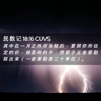 Picture 02 - 民 数 记 18:16 CUVS - 其 中 在 一 月 之 外 所 当 赎 的 ， - Bible Verse Picture