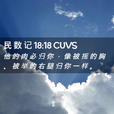 Picture 02 - 民 数 记 18:18 CUVS - 他 的 肉 必 归 你 ， 像 被 摇 的 胸 - Bible Verse Picture