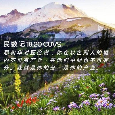 Picture 02 - 民 数 记 18:20 CUVS - 耶 和 华 对 亚 伦 说 ： 你 在 以 色 - Bible Verse Picture