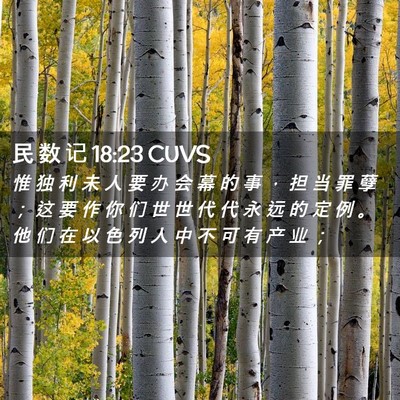 Picture 02 - 民 数 记 18:23 CUVS - 惟 独 利 未 人 要 办 会 幕 的 事 ， - Bible Verse Picture