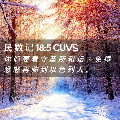Picture 02 - 民 数 记 18:5 CUVS - 你 们 要 看 守 圣 所 和 坛 ， 免 得 - Bible Verse Picture