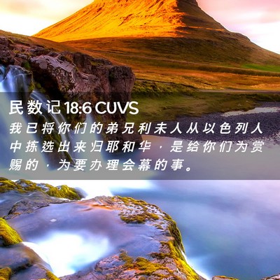 Picture 02 - 民 数 记 18:6 CUVS - 我 已 将 你 们 的 弟 兄 利 未 人 从 - Bible Verse Picture