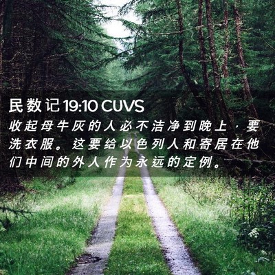 Picture 02 - 民 数 记 19:10 CUVS - 收 起 母 牛 灰 的 人 必 不 洁 净 到 - Bible Verse Picture