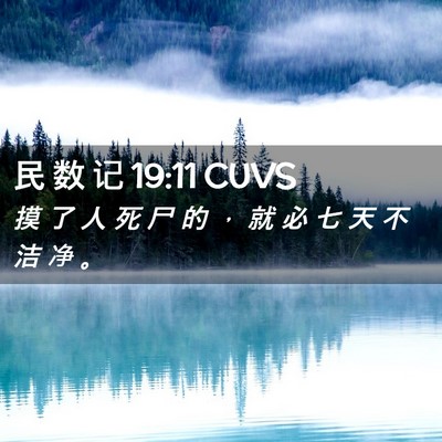Picture 02 - 民 数 记 19:11 CUVS - 摸 了 人 死 尸 的 ， 就 必 七 天 不 - Bible Verse Picture