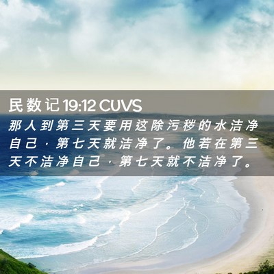 Picture 02 - 民 数 记 19:12 CUVS - 那 人 到 第 三 天 要 用 这 除 污 秽 - Bible Verse Picture