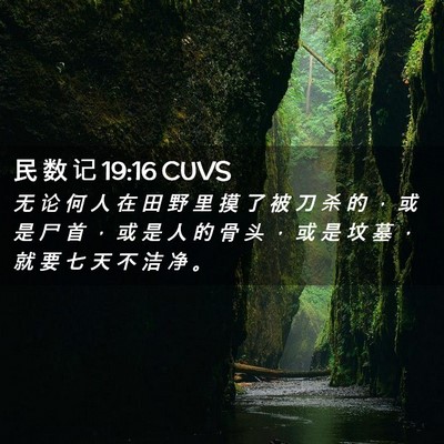 Picture 02 - 民 数 记 19:16 CUVS - 无 论 何 人 在 田 野 里 摸 了 被 刀 - Bible Verse Picture