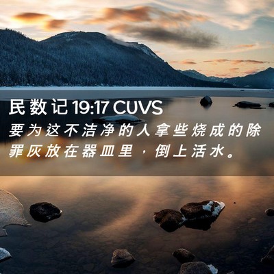 Picture 02 - 民 数 记 19:17 CUVS - 要 为 这 不 洁 净 的 人 拿 些 烧 成 - Bible Verse Picture