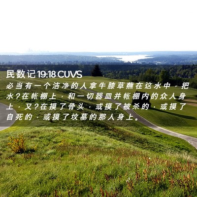 Picture 02 - 民 数 记 19:18 CUVS - 必 当 有 一 个 洁 净 的 人 拿 牛 膝 - Bible Verse Picture
