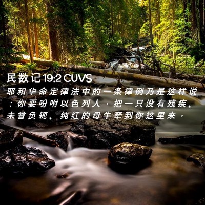 Picture 02 - 民 数 记 19:2 CUVS - 耶 和 华 命 定 律 法 中 的 一 条 律 - Bible Verse Picture