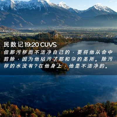 Picture 02 - 民 数 记 19:20 CUVS - 但 那 污 秽 而 不 洁 净 自 己 的 ， - Bible Verse Picture