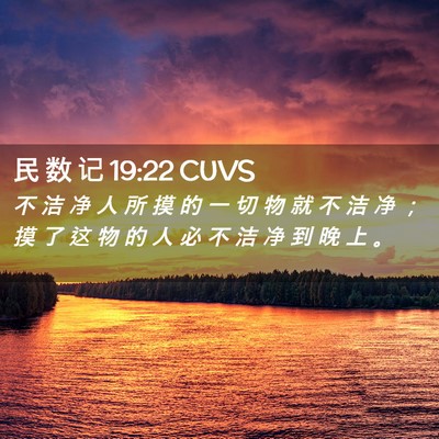 Picture 02 - 民 数 记 19:22 CUVS - 不 洁 净 人 所 摸 的 一 切 物 就 不 - Bible Verse Picture