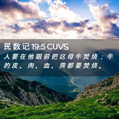 Picture 02 - 民 数 记 19:5 CUVS - 人 要 在 他 眼 前 把 这 母 牛 焚 烧 - Bible Verse Picture