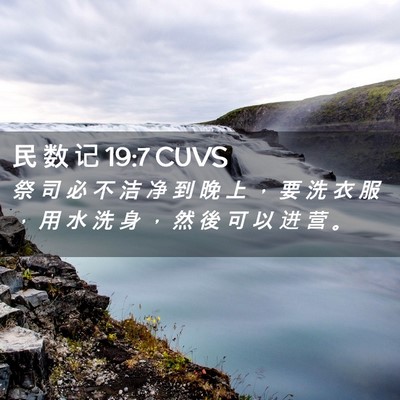 Picture 02 - 民 数 记 19:7 CUVS - 祭 司 必 不 洁 净 到 晚 上 ， 要 洗 - Bible Verse Picture