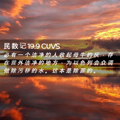 Picture 02 - 民 数 记 19:9 CUVS - 必 有 一 个 洁 净 的 人 收 起 母 牛 - Bible Verse Picture