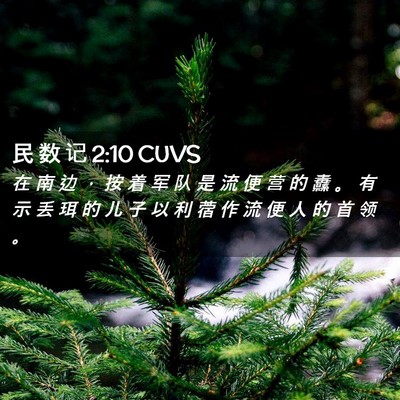 Picture 02 - 民 数 记 2:10 CUVS - 在 南 边 ， 按 着 军 队 是 流 便 营 - Bible Verse Picture