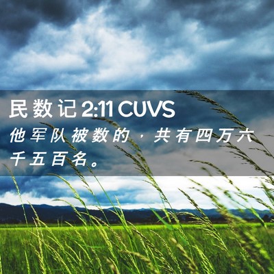 Picture 02 - 民 数 记 2:11 CUVS - 他 军 队 被 数 的 ， 共 有 四 万 六 - Bible Verse Picture