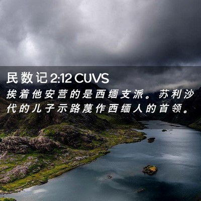 Picture 02 - 民 数 记 2:12 CUVS - 挨 着 他 安 营 的 是 西 缅 支 派 。 - Bible Verse Picture
