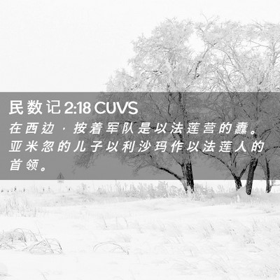Picture 02 - 民 数 记 2:18 CUVS - 在 西 边 ， 按 着 军 队 是 以 法 莲 - Bible Verse Picture