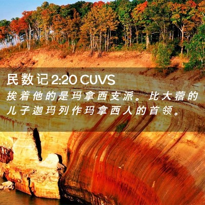 Picture 02 - 民 数 记 2:20 CUVS - 挨 着 他 的 是 玛 拿 西 支 派 。 比 - Bible Verse Picture