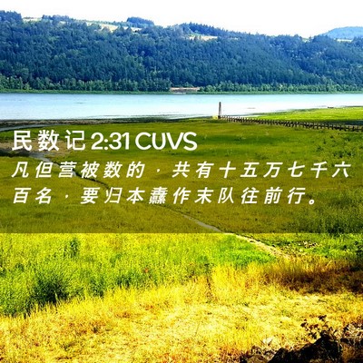 Picture 02 - 民 数 记 2:31 CUVS - 凡 但 营 被 数 的 ， 共 有 十 五 万 - Bible Verse Picture