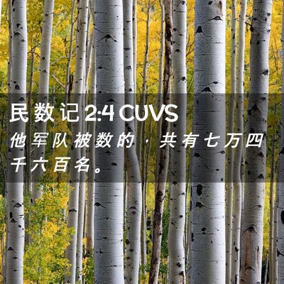 Picture 02 - 民 数 记 2:4 CUVS - 他 军 队 被 数 的 ， 共 有 七 万 四 - Bible Verse Picture