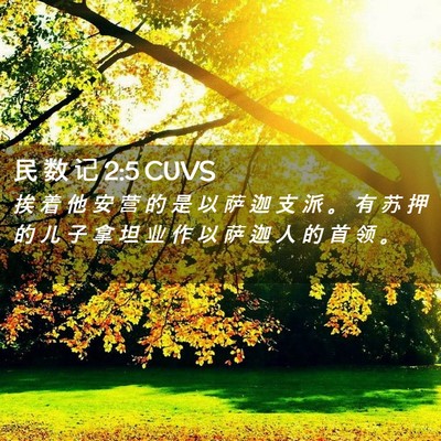 Picture 02 - 民 数 记 2:5 CUVS - 挨 着 他 安 营 的 是 以 萨 迦 支 派 - Bible Verse Picture