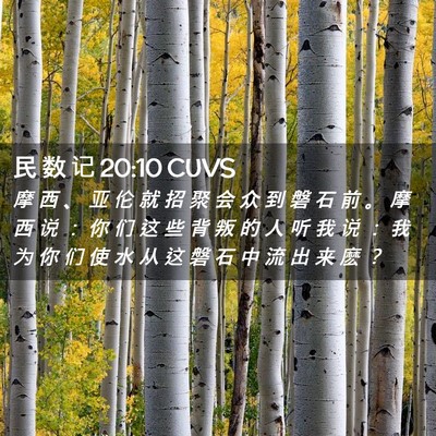 Picture 02 - 民 数 记 20:10 CUVS - 摩 西 、 亚 伦 就 招 聚 会 众 到 磐 - Bible Verse Picture
