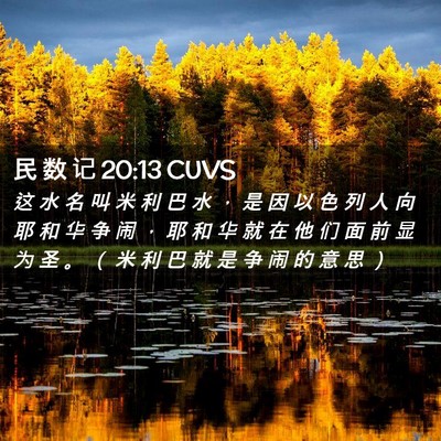 Picture 02 - 民 数 记 20:13 CUVS - 这 水 名 叫 米 利 巴 水 ， 是 因 以 - Bible Verse Picture