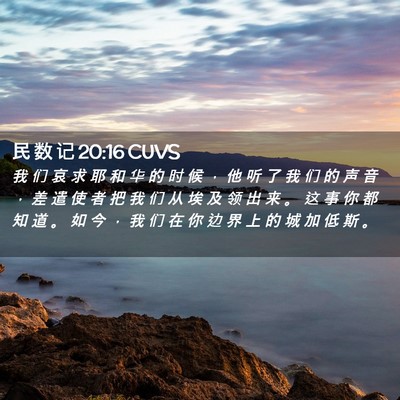 Picture 02 - 民 数 记 20:16 CUVS - 我 们 哀 求 耶 和 华 的 时 候 ， 他 - Bible Verse Picture